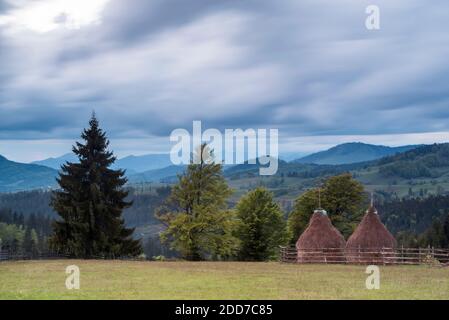 Rumänische Heuhaufen in ländlichen Siebenbürgen, Piatra Fantanele, Rumänien Stockfoto