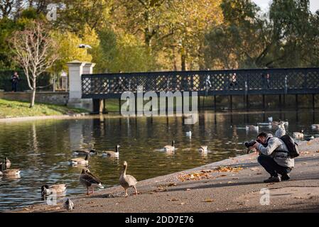 Herbst im Regents Park, einem der Royal Parks von London, England Stockfoto