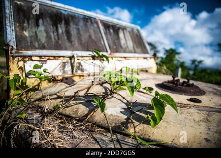 Alte heruntergekommenen Land Rover, Arenal Vulkan, Alajuela Provinz, Costa Rica Stockfoto