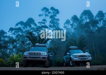 Geländewagen an einem nebligen Morgen, mit Andasibe Nationalpark hinter, Madagaskar Stockfoto