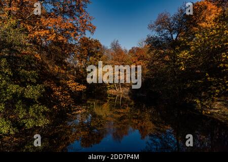 Central Park Herbst. New York City Stockfoto