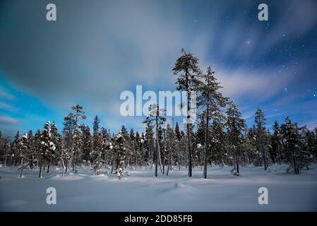 Lappland Landschaft bei Nacht unter den Sternen in der gefrorenen Winterlandschaft, Finnland Stockfoto