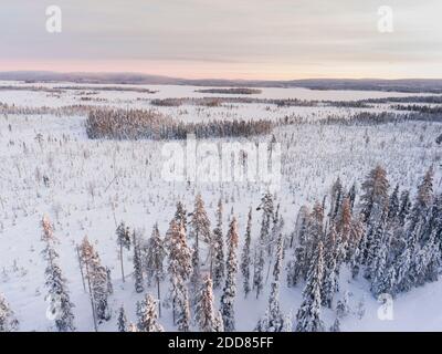 Schneebedeckter See und Wald Winterlandschaft zeigt erstaunliche Lappland Landschaft in Skandinavien in Finnland Drohne Stockfoto