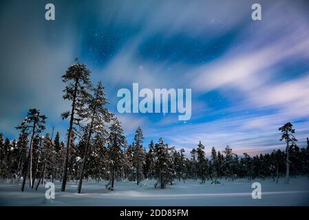 Lappland Landschaft bei Nacht unter den Sternen in der gefrorenen Winterlandschaft, Finnland Stockfoto