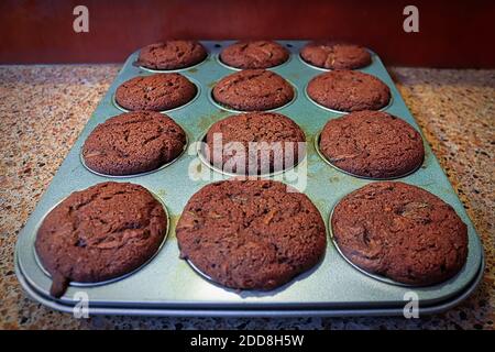 Ein Tablett voller Schokolade Zucchini Muffins Stockfoto