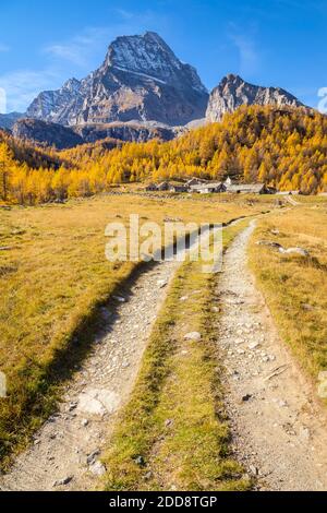 Herbst an der Straße nach Cianciavero und Monte Leone im Hintergrund. Alpe Veglia, Val Cairasca, Divedro Valley, Ossola Valley, Varzo, Piemont, Italien. Stockfoto