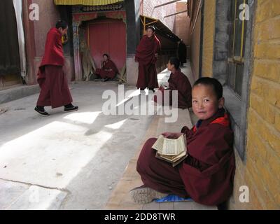 KEIN FILM, KEIN VIDEO, KEIN Fernsehen, KEINE DOKUMENTATION - EIN junger Mönch grinst am 13. Februar 2009 unverschmend im Kloster Wutun in der chinesischen Provinz Qinghai. Am Rande des ersten Jahrestages einer Massenrevolte auf dem tibetischen Plateau, die die schlimmsten ethnischen Unruhen in China seit fast zwei Jahrzehnten markierte, siechen viele Tibeter noch immer unter Chinas Daumen. Foto von Tim Johnson/MCT/ABACAPRESS.COM Stockfoto