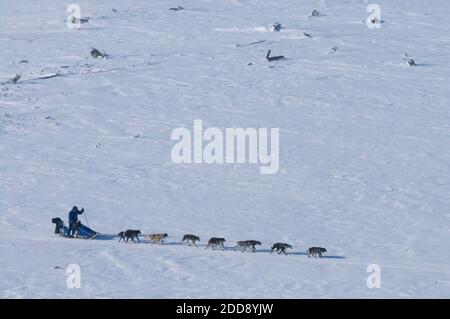 KEIN FILM, KEIN VIDEO, KEIN TV, KEIN DOKUMENTARFILM - John Baker geht am 16. März 2009 während des Iditarod aus Shaktoolik, Alaska, raus. Foto von Marc Lester/Anchorage Daily News/MCT/Cameleon/ABACAPRESS.COM Stockfoto