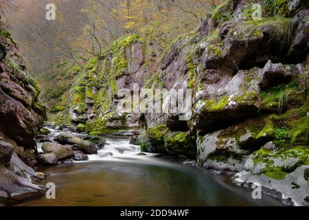 Kleine Kaskade auf einem Gebirgsfluss, der durch die enge, rote Felsenschlucht mit Felsen, die von grünem Moos bedeckt sind, und Klippen mit herbstlichen Bäumen fließt Stockfoto