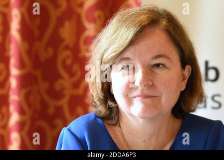 Nathalie Loiseau, Ministerin für europäische Angelegenheiten, eingeladen vom Strasbourg Europe Press Club.der Minisiter kam, um am 29. Mai 2018 im Restaurant "The old Customs House" Strasbourg, Frankreich, den Subjet von Straßburg als Sitz der europäischen Hauptstadt zu diskutieren. Foto von Nicolas Roses/ABACAPRESS.COM Stockfoto