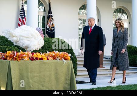 US-Präsident Donald J. Trump, begleitet von First Lady Melania Trump, begnadigung Corn, die National Thanksgiving Turkey, während einer Zeremonie im Rosengarten im Weißen Haus am Dienstag, 24. November 2020. Quelle: Kevin Dietsch/Pool via CNP /MediaPunch Stockfoto