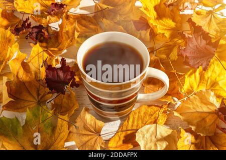Große Tasse heißen, dampfenden Kaffees zwischen leuchtend gelben und roten Herbstblättern im Sonnenlicht. Tasse mit Heißgetränk für gemütliches Herbststimmung Konzept. Draufsicht Stockfoto