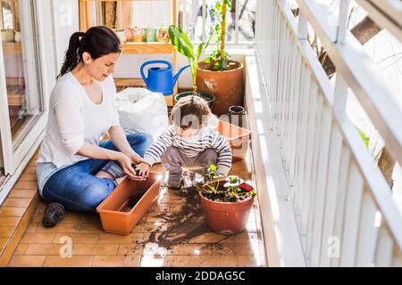 Mutter und Sohn Pflanzen Samen in Topf, während sie sitzen Balkon Stockfoto