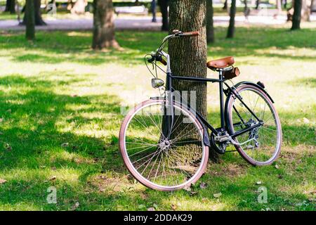 Fahrrad geparkt auf Rasen im öffentlichen Park Stockfoto