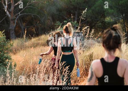 Weibliche Freunde in Sportkleidung Wandern auf dem Trail im Feld Während der Ferien Stockfoto