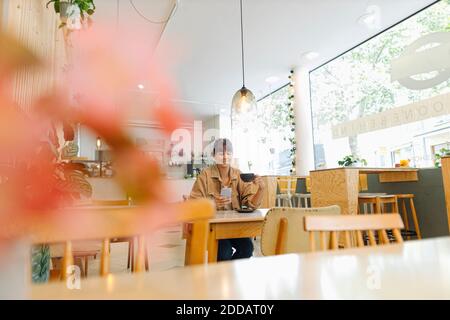 Weibliche Unternehmer Text Messaging auf Smartphone hält Kaffee Tasse Beim Sitzen im Café Stockfoto