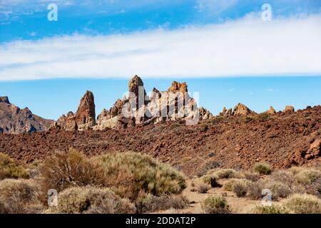 Spanien, Santa Cruz de Tenerife, Büsche vor der Roques de Garcia Formation im Teide Nationalpark Stockfoto