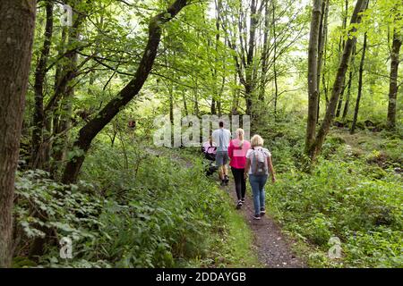 Familienspaziergängen mit Kinderwagen im Wald Stockfoto