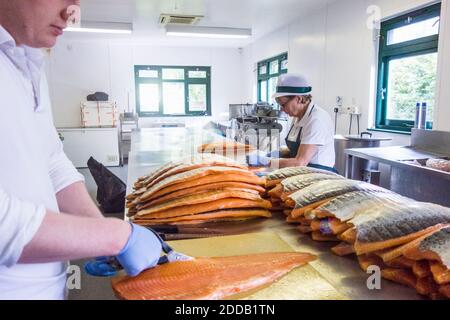 Arbeiter schneiden Fisch, während leitende Arbeiter arbeiten an der Theke in Lebensmittelverarbeitungsanlage Stockfoto