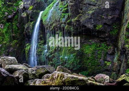 Burgbach Wasserfall im Schwarzwald Stockfoto