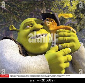 KEIN FILM, KEIN VIDEO, KEIN TV, KEIN DOKUMENTARFILM - Shrek (MIKE MYERS) denkt, dass Kater in Boots (ANTONIO BANDERAS) nur eine entzückende kleine Kätzchen ist und beschließt, ihn in DreamWorks Pictures' computeranimierter Komödie SHREK 2 zu behalten. Foto von KRT/ABACA. Stockfoto