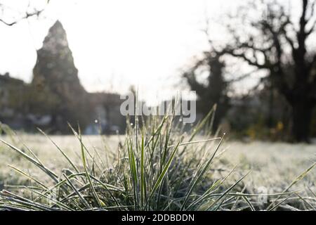 Gefrorene Gras mit Reif im Vordergrund eines Feldes. Ländliche Szene im Hintergrund. Stockfoto