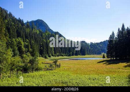 Landschaftlicher Blick gegen klaren Himmel, Salzkammergut, Österreich Stockfoto