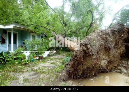 KEIN FILM, KEIN VIDEO, KEIN Fernsehen, KEIN DOKUMENTARFILM - EIN Baum liegt auf einem Haus in Jasper, Texas, nachdem Hurrikan Rita am Samstag, 24. September 2005, durch die Gegend gegangen ist. Foto von Khampha Bouaphanh/Fort Worht Star-Telegram/KRT/ABACAPRESS.COM Stockfoto