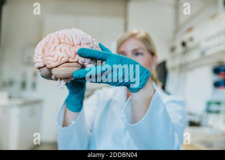 Reife Frau hält künstliches menschliches Gehirn, während sie im Labor steht Stockfoto