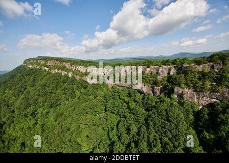 Luftaufnahme der bewaldeten Klippe im Sommer Stockfoto