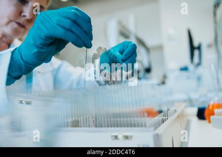 Wissenschaftler untersuchen menschlichen Gehirn Mikroskop Folie, während im Labor stehen Stockfoto