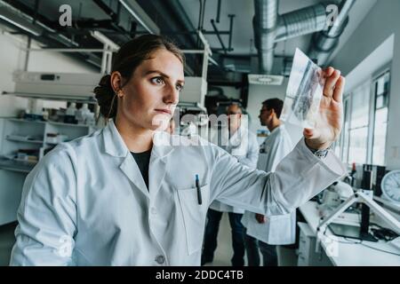 Junge Frau untersucht menschlichen Hirnrutsche, während sie mit Kollegen stehen Im Hintergrund im Labor Stockfoto