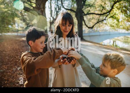 Mutter und Söhne sammeln Kastanien, während sie im öffentlichen Park stehen Stockfoto