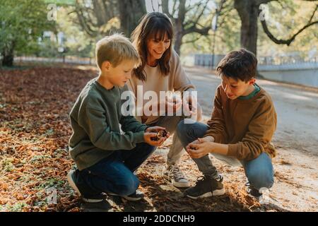 Mutter und Söhne sammeln Kastanien im öffentlichen Park Stockfoto