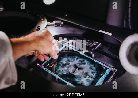 Nahaufnahme der Hand eines Wissenschaftlers, der den menschlichen Hirnrutsche aus dem Mikroskop entfernt Im Labor Stockfoto