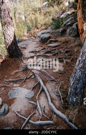 Felspfad auf dem Berg im Wald bei La Pedriza, Madrid, Spanien Stockfoto