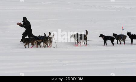 KEIN FILM, KEIN VIDEO, KEIN TV, KEIN DOKUMENTARFILM - Iditarod Musher Matt Failor sticht sein Hundeteam aus, als er am 6. März 2013 den Checkpoint McGrath, Alaska, USA, verlässt. Foto von Bill Roth/Anchorage Daily News/MCT/ABACAPRESS.COM Stockfoto