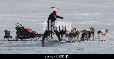 KEIN FILM, KEIN VIDEO, KEIN TV, KEIN DOKUMENTARFILM - Aliy Zirkle springt über einen Überlauf, um sich kurz nach dem Verlassen Koyuk, Alaska, USA, am 11. März 2013, während des Iditarod Trail Sled Dog Race, um ihr Hundeteam zu kümmern. Foto von Bill Roth/Anchorage Daily News/MCT/ABACAPRESS.COM Stockfoto