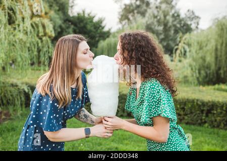 Freundinnen essen große Zuckerwatte im Park Stockfoto