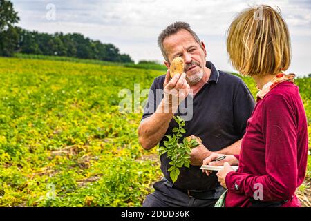 Bauer Paul Strixner hält eine reife Kartoffel der Sorte 'Jewel' zur Inspektion hoch, während er mit der Reporterin Angela Berg über die Ernte spricht, die auf seinem Feld bei Ehekirchen, Deutschland, Notizen macht. Stockfoto