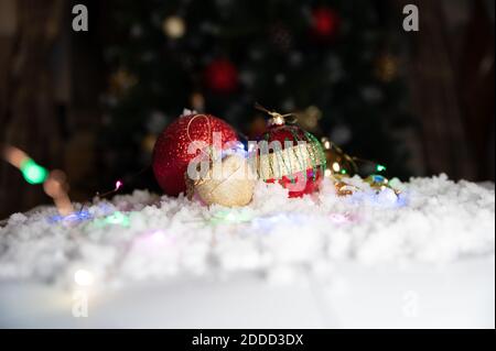 Nahaufnahme der Weihnachtskibbles auf Schnee mit weihnachtsbaum im Hintergrund platziert. weihnachtsgeist-Konzept. Stockfoto