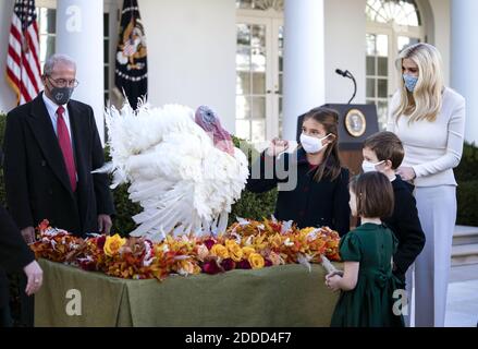 Washington, Usa. November 2020. Ivanka Trump, die Tochter von Präsident Donald Trump, und ihr Mann Jarred Kushner begrüßen gemeinsam mit ihren Kindern und anderen Gästen Corn, die nationale Thanksgiving-Türkei, nachdem Präsident Trump den Vogel am Dienstag, den 24. November 2020, im Rosengarten im Weißen Haus begnadigt hatte. Foto von Kevin Dietsch/UPI Kredit: UPI/Alamy Live News Stockfoto