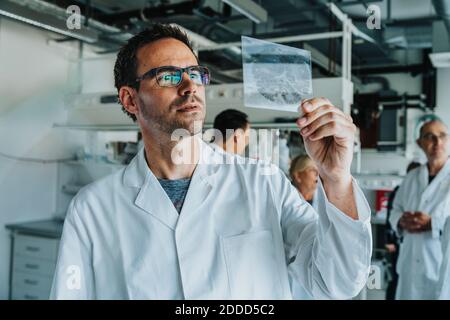 Männlicher Wissenschaftler, der den menschlichen Hirnrutscher untersucht, während er mit einem Mitarbeiter steht Im Labor Stockfoto