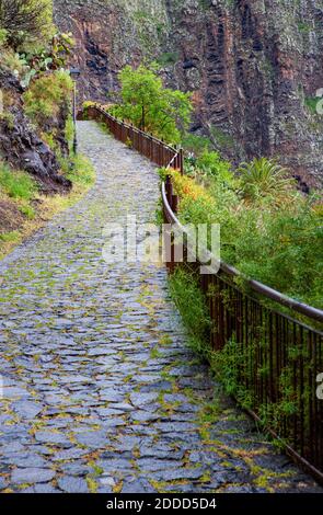 Spanien, Provinz Santa Cruz de Tenerife, Calle Lomo de Masca, gepflasterter Fußweg in Macizo de Teno Range Stockfoto