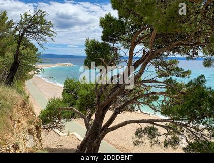 Leerer Strand in Dalmatien mit typisch kroatischen Pinien Stockfoto