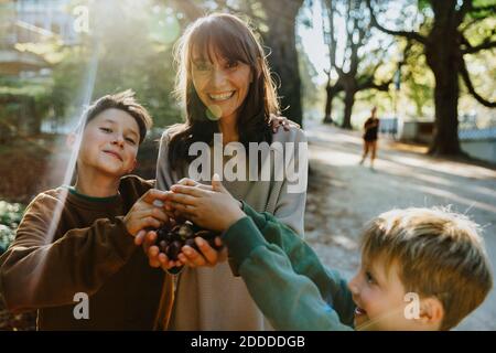 Lächelnde Mutter und Söhne sammeln Kastanien, während sie in der Öffentlichkeit stehen parken Stockfoto