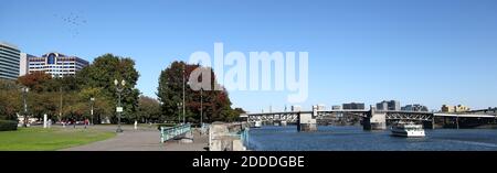 Portland, Oregon: Tom McCall Waterfront Park entlang des Willamette Flusses mit Morrison Bridge Stockfoto