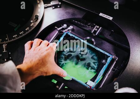 Nahaufnahme der Wissenschaftler Hand Anpassung menschlichen Gehirn Dia aus dem Mikroskop Im Labor Stockfoto