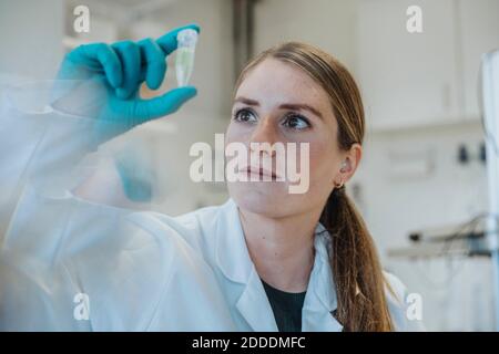 Junge Frau untersucht Reagenzglas, während sie im Labor steht Stockfoto