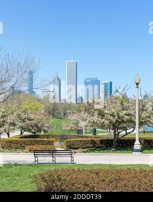 Wolkenkratzer vom Grant Park, Chicago, USA Stockfoto